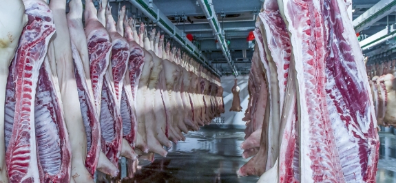 肉禽类加工